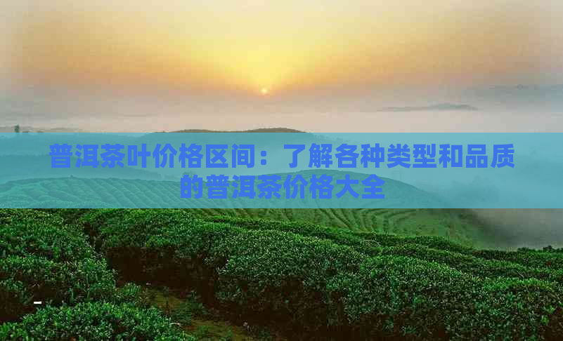 普洱茶叶价格区间：了解各种类型和品质的普洱茶价格大全