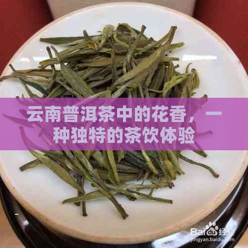 云南普洱茶中的花香，一种独特的茶饮体验