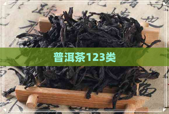 普洱茶123类