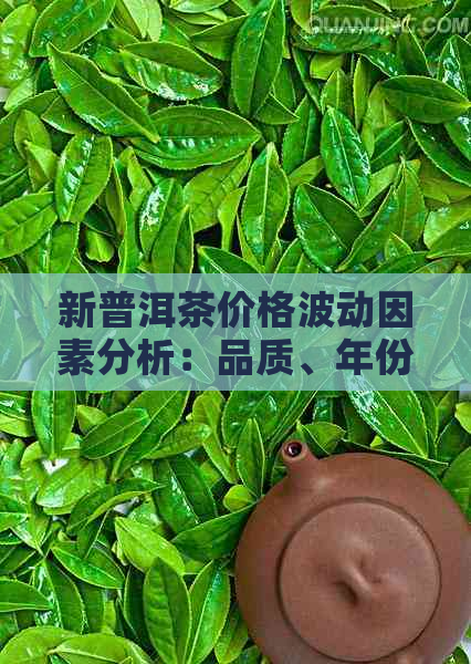 新普洱茶价格波动因素分析：品质、年份与市场供求关系的影响