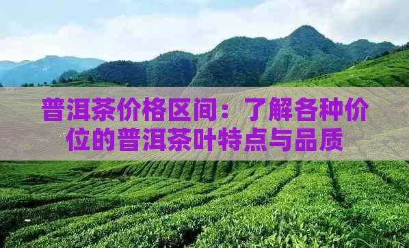 普洱茶价格区间：了解各种价位的普洱茶叶特点与品质