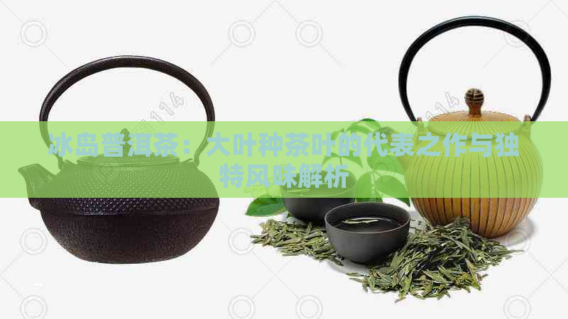 冰岛普洱茶：大叶种茶叶的代表之作与独特风味解析