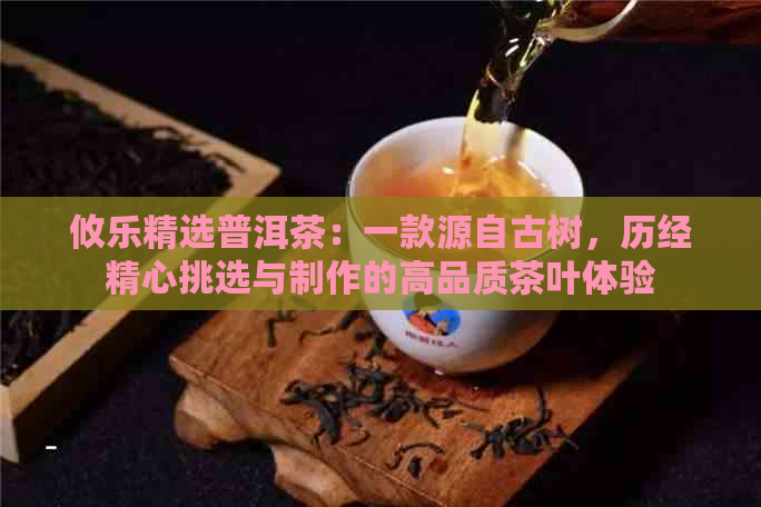 攸乐精选普洱茶：一款源自古树，历经精心挑选与制作的高品质茶叶体验