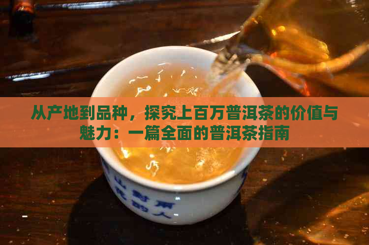 从产地到品种，探究上百万普洱茶的价值与魅力：一篇全面的普洱茶指南