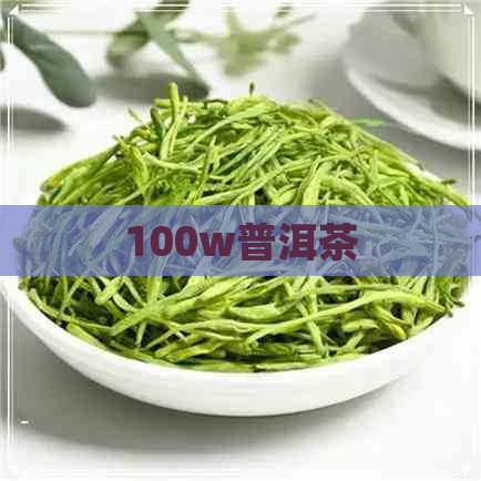 100w普洱茶