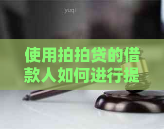 使用的借款人如何进行提前还款？