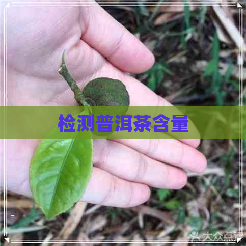 检测普洱茶含量