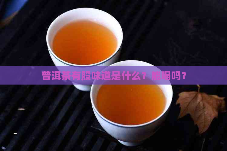 普洱茶有股味道是什么？能喝吗？