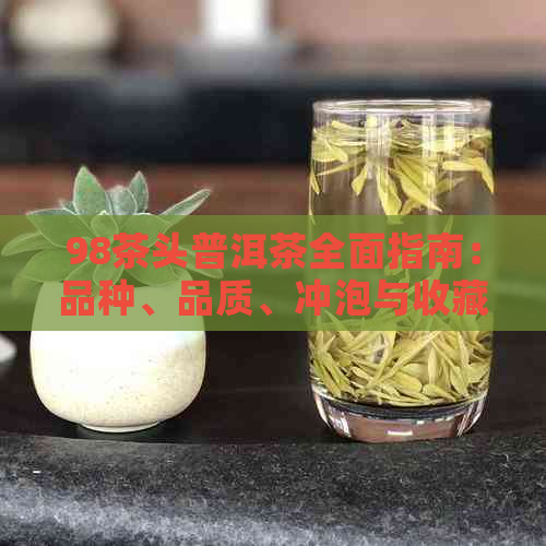 98茶头普洱茶全面指南：品种、品质、冲泡与收藏，解答用户所有疑问