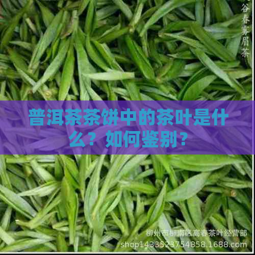 普洱茶茶饼中的茶叶是什么？如何鉴别？