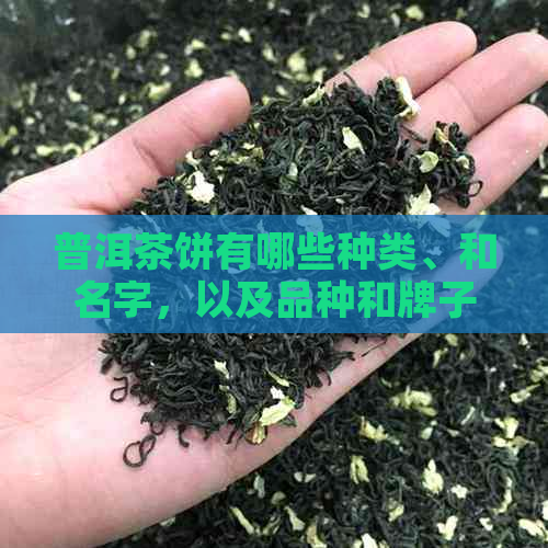 普洱茶饼有哪些种类、和名字，以及品种和牌子？