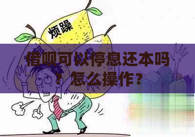 借呗可以停息还本吗？怎么操作？