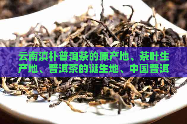 云南滇朴普洱茶的原产地、茶叶生产地、普洱茶的诞生地、中国普洱茶之乡