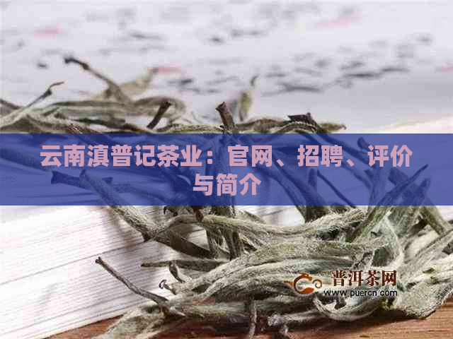 云南滇普记茶业：官网、招聘、评价与简介