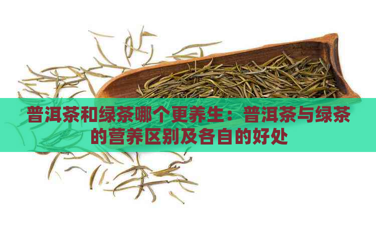 普洱茶和绿茶哪个更养生：普洱茶与绿茶的营养区别及各自的好处