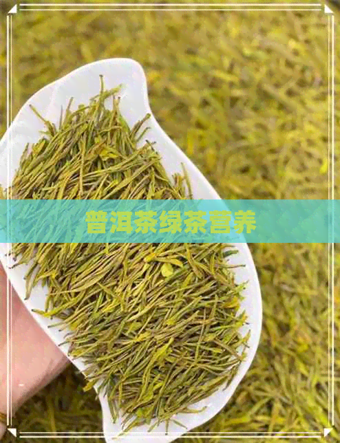 普洱茶绿茶营养