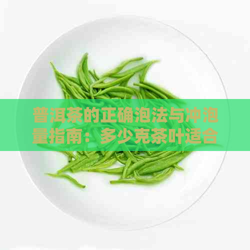 普洱茶的正确泡法与冲泡量指南：多少克茶叶适合你？