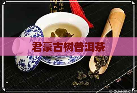 君豪古树普洱茶