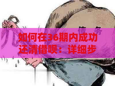 如何在36期内成功还清借呗：详细步骤与技巧分享