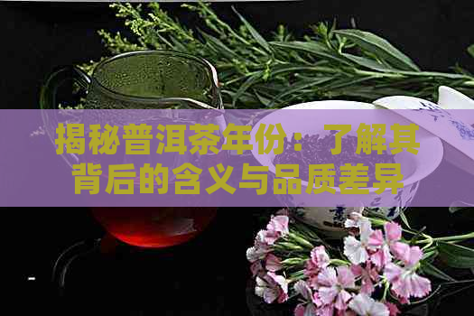 揭秘普洱茶年份：了解其背后的含义与品质差异