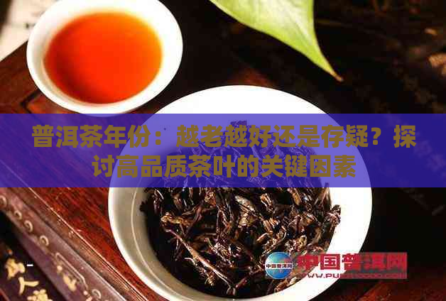 普洱茶年份：越老越好还是存疑？探讨高品质茶叶的关键因素