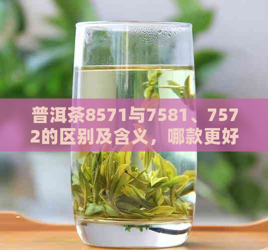 普洱茶8571与7581、7572的区别及含义，哪款更好？