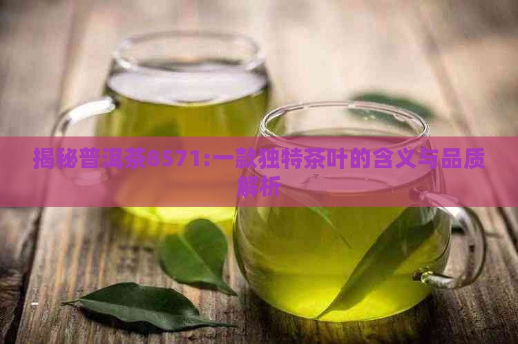 揭秘普洱茶8571:一款独特茶叶的含义与品质解析