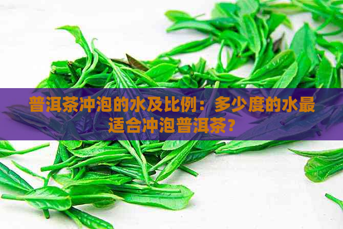 普洱茶冲泡的水及比例：多少度的水最适合冲泡普洱茶？