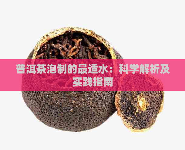 普洱茶泡制的最适水：科学解析及实践指南