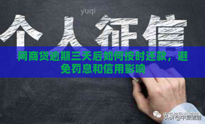 网商贷逾期三天后如何按时还款，避免罚息和信用影响