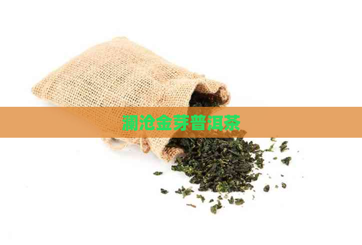 澜沧金芽普洱茶