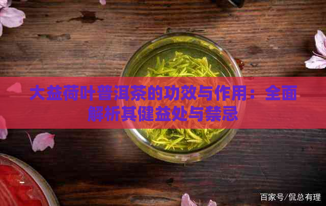 大益荷叶普洱茶的功效与作用：全面解析其健益处与禁忌