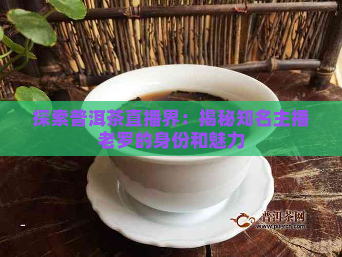 探索普洱茶直播界：揭秘知名主播老罗的身份和魅力