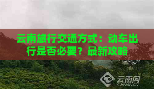 云南旅行交通方式：动车出行是否必要？最新攻略