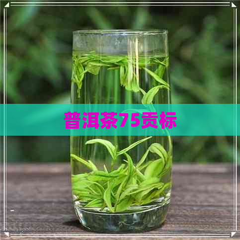 普洱茶75贡标