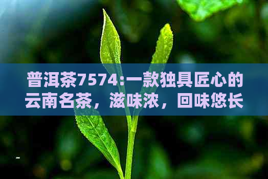 普洱茶7574:一款独具匠心的云南名茶，滋味浓，回味悠长