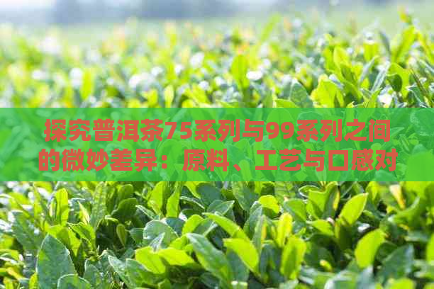 探究普洱茶75系列与99系列之间的微妙差异：原料、工艺与口感对比