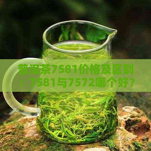 普洱茶7581价格及区别：7581与7572哪个好？普洱茶7581怎么样？