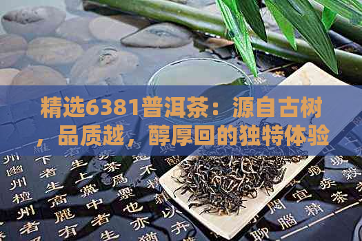 精选6381普洱茶：源自古树，品质越，醇厚回的独特体验