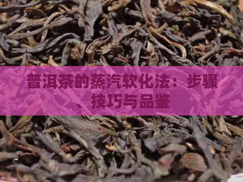 普洱茶的蒸汽软化法：步骤、技巧与品鉴