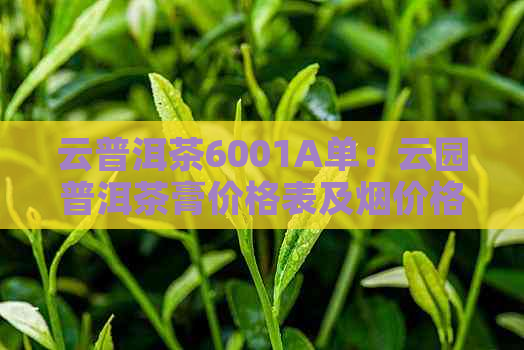 云普洱茶6001A单：云园普洱茶膏价格表及烟价格