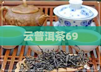 云普洱茶69