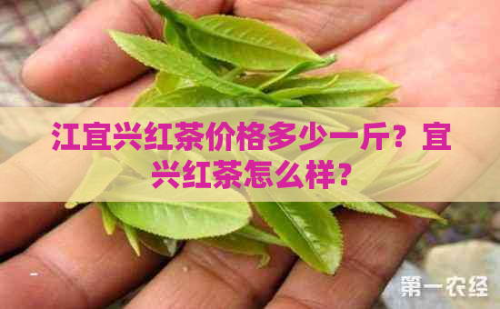 江宜兴红茶价格多少一斤？宜兴红茶怎么样？