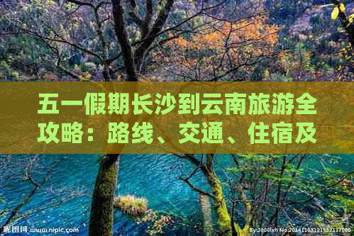 五一假期长沙到云南旅游全攻略：路线、交通、住宿及景点推荐一应俱全！