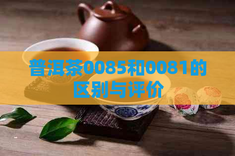 普洱茶0085和0081的区别与评价