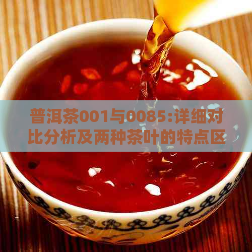 普洱茶001与0085:详细对比分析及两种茶叶的特点区别