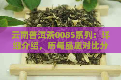 云南普洱茶0085系列：详细介绍，历与品质对比分析，以及最新报价