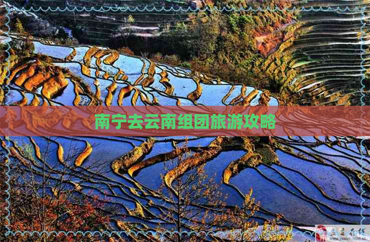 南宁去云南组团旅游攻略