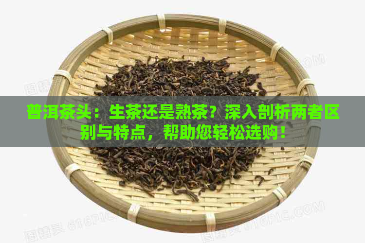 普洱茶头：生茶还是熟茶？深入剖析两者区别与特点，帮助您轻松选购！