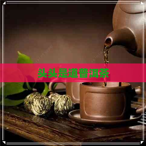 头头是道普洱茶